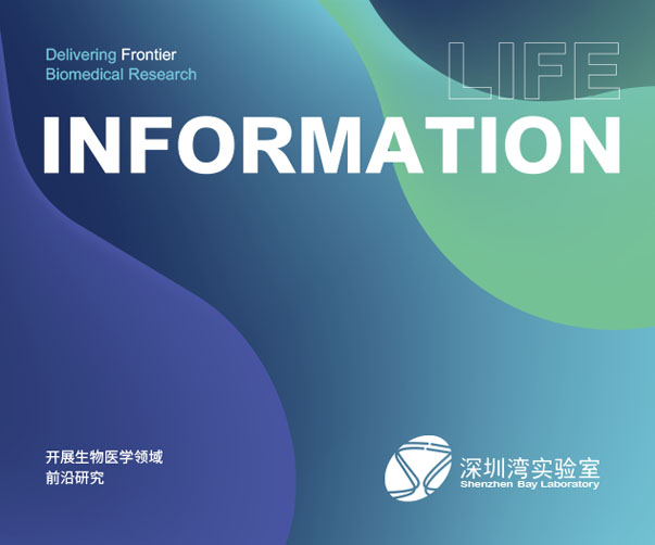 高級清新VI設計教程_打造獨特品牌形象